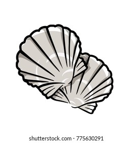 Shellfish scallops living in the sea