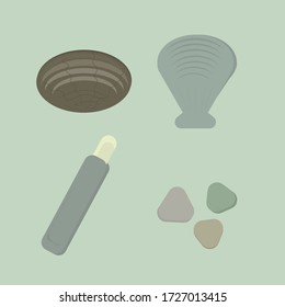 Schalentiere, Meerestiere, Shell, Clam, Meer