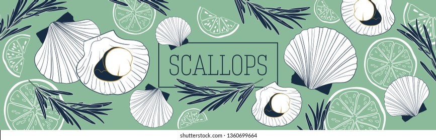 Shellfish and seafood restaurant or fishery product market banners template. Scallops banner vector template. Hand drawn illustration on green background.