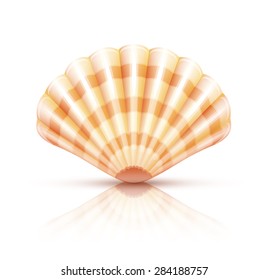 Shellfish seashell. Eps10 vector illustration. Isolated on white background