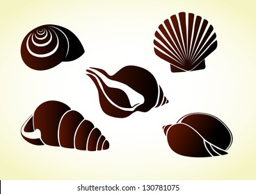 Shells