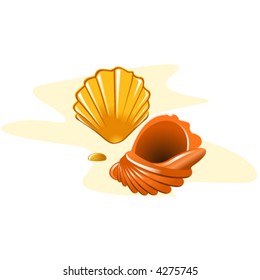 Shells