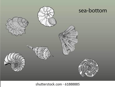 shells