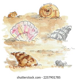 Shells beach sand illustration, watercolor sketch, holiday tropical, vector.