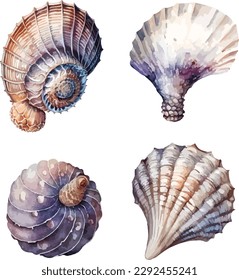 conchas clipart, ilustración vectorial aislada.