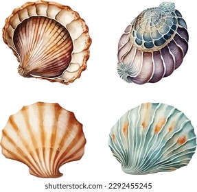 conchas clipart, ilustración vectorial aislada.