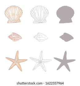 Shells collection. Vector set with seashells and starfish for you design