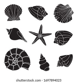 Shells collection. Vector set with seashells and starfish for you design