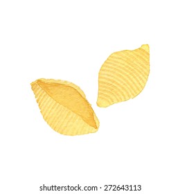 Shells or conchiglie. Hand-drawn Italian pasta. Real watercolor drawing. Vector illustration. Traced painting
