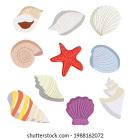 Shells are different. Sea and seashells. Seashell Set