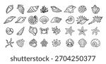 Shells doodle hand drawn style set. Outline seashells, starfish black outline sketch isolated elements on white background for design clipart template. Vector illustration
