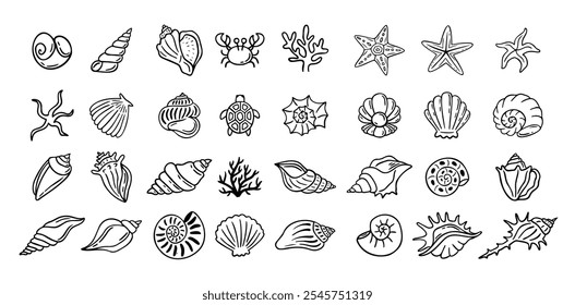 Conchas doodle mão desenhado estilo conjunto. Contorno conchas, estrela-do-mar preto esboço elementos isolados no fundo branco para modelo clipart design. Ilustração vetorial