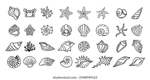 Conchas doodle mão desenhado estilo conjunto. Contorno conchas, estrela-do-mar preto esboço elementos isolados no fundo branco para modelo clipart design. Ilustração vetorial