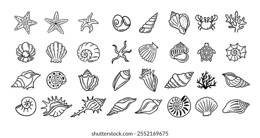 Conchas doodle mão desenhado estilo conjunto. Contorno conchas, estrela-do-mar preto esboço elementos isolados no fundo branco para modelo clipart design. Ilustração vetorial