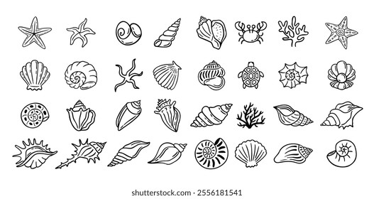 Shells doodle hand drawn style set. Outline seashells, starfish black outline sketch isolated elements on white background for design clipart template. Vector illustration