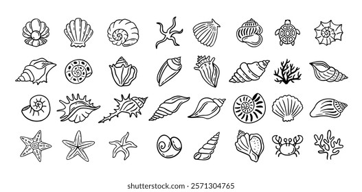 Shells doodle hand drawn style set. Outline seashells, starfish black outline sketch isolated elements on white background for design clipart template. Vector illustration