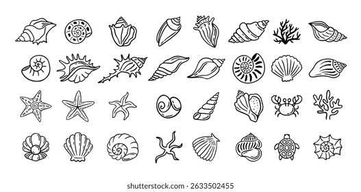 Conchas doodle mão desenhado estilo conjunto. Contorno conchas, estrela-do-mar preto esboço elementos isolados no fundo branco para modelo clipart design. Ilustração vetorial