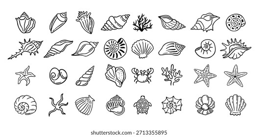 Conjunto de estilo dibujado a mano de garabatos de conchas. Contorno de conchas marinas, estrella de mar negro boceto de contorno aislado Elementos sobre fondo blanco para la Plantilla Clipart de diseño. Ilustración vectorial
