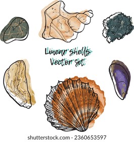 Shells doodle. Natural rocks and seashells, conch and helix doodle. Set of vector isolated icons for design.