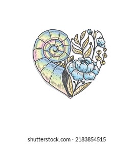 shells with flower colorful as heart vector illustration. Beach, Summer shell.