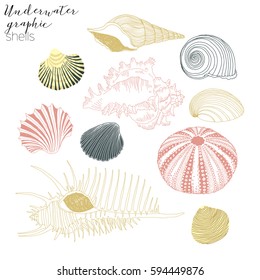 shells graphic collection