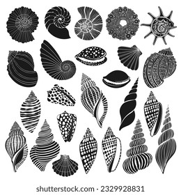 Shells. Hand drawn vector big collection, isolated silhouette elements on white background. Perfect for decoration, invitation, card, poster and as a design element.