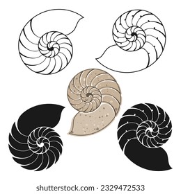 Shells. Hand drawn vector collection, 5 isolated  elements on white background. Perfect for decoration, invitation, card, poster and as a design element.