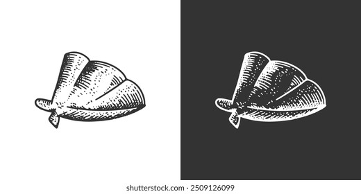 Shells hand drawn. Vintage engraving style vector illustration isolated background.