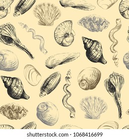 Shells hand-painted seamless pattern. Hand drawn vector illustration. Clams, scallops, shells. 