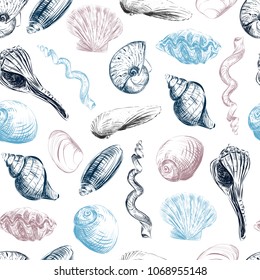 Shells hand-painted seamless pattern. Hand drawn vector illustration. Clams, scallops, shells. 