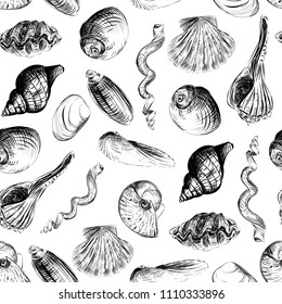 Shells hand-painted seamless pattern. Hand drawn vector illustration. Clams, scallops, shells.