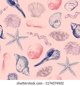 Shells hand-painted seamless pattern. Hand drawn vector illustration. Clams, scallops, shells. 