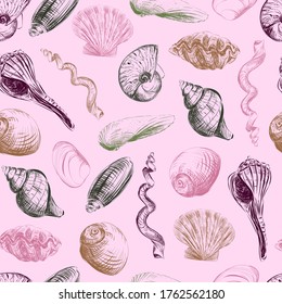 Shells hand-painted seamless pattern. Hand drawn vector illustration. Clams, scallops, shells. 