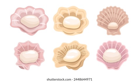 Shells illustration vector bundle. Shells vector cartoon set icon. Vector illustration icon Shells on white background. Shells illustration vector bundle