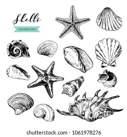 Shells illustrations drawn by ink and pen. For your design, posters, postcards, invitations, menus, weddings and more. Vector