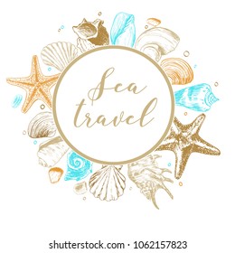 Shells illustrations drawn by ink and pen. For your design, posters, postcards, invitations, menus, weddings and more. 