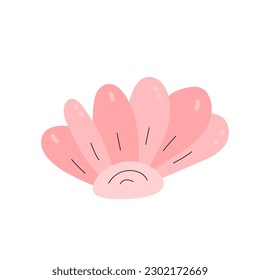  shells  isolated simple flat vector 