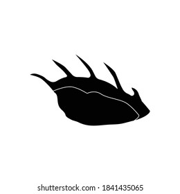 diseño de ilustración de material del logotipo de cáscaras