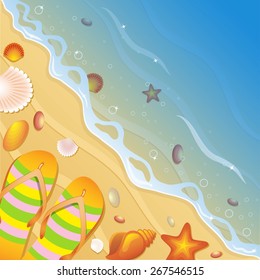 Shells on the beach. Vector illustration.