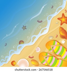 Shells On Beach Vector Illustration Stock Vector (Royalty Free ...