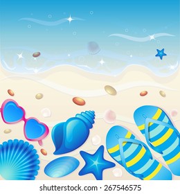Shells on the beach. Vector illustration.