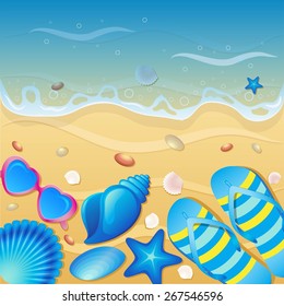 Shells on the beach. Vector illustration.