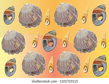 Shells on the bright background. For summer design