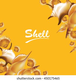 Shells on orange background. Vector illustration.