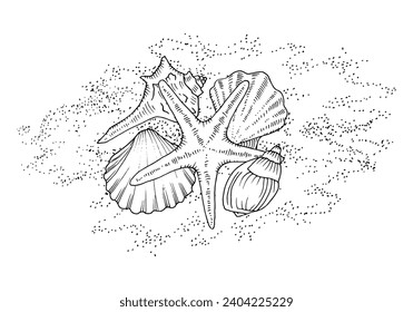 Shells on the sand. Vector outline illustration of Sea bottom. Hand drawn graphic clipart of beach. Linear drawing on isolated white background. Black contour line art of conch and starfish