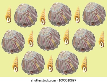 Shells on the shore. For summer design