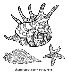 shells pattern, coloring book, coloring page, vector