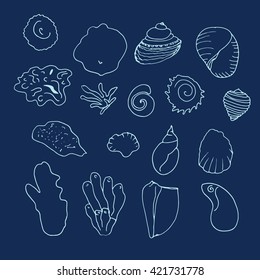 Shells pattern. Doodle background. Vector illustration