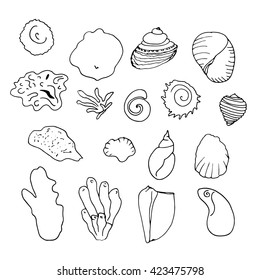 Shells pattern. Doodle background. Vector illustration