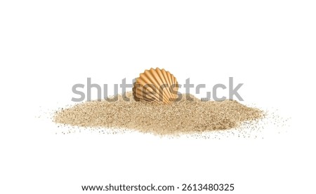 Shells in sand pile isolated. Seashell on sandy beach, ocean dune clams, summer seashore conches on white background, vector illustration